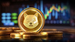 Shiba Inu Skyrockets 2,649% On-Chain as Price Makes Interesting Moves