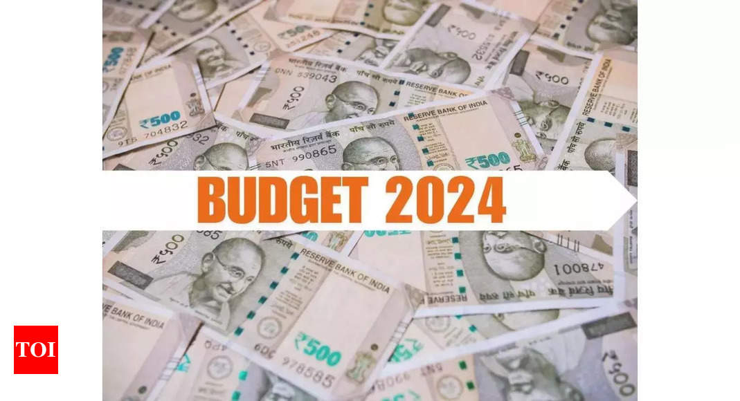 Budget 2024: Crypto community seeks reduction of tax deductions on transfer of digital assets